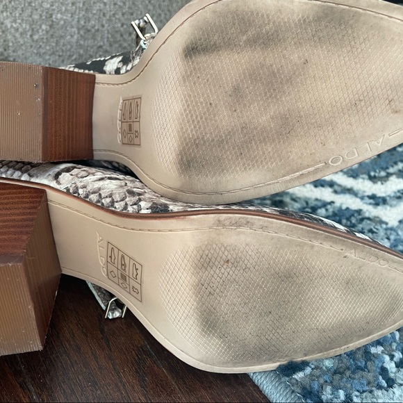 Aldo - Picture 8 of 10